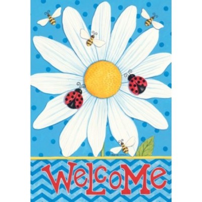 Daisy Welcome