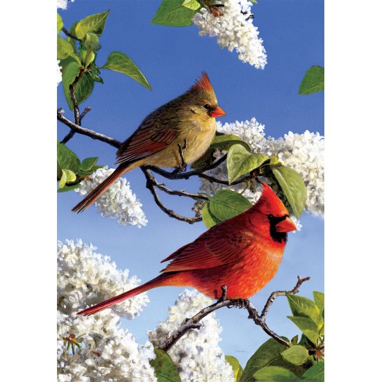 Cardinal et lilas 12' x 18'