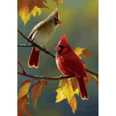 Cardinal d'automne