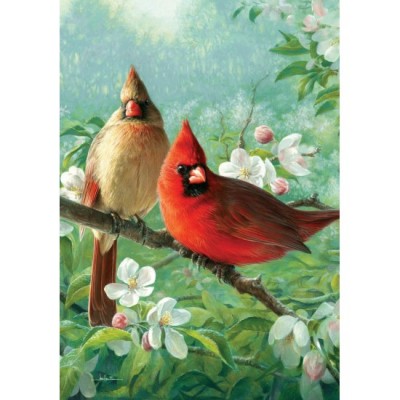 Cardinal Blossoms