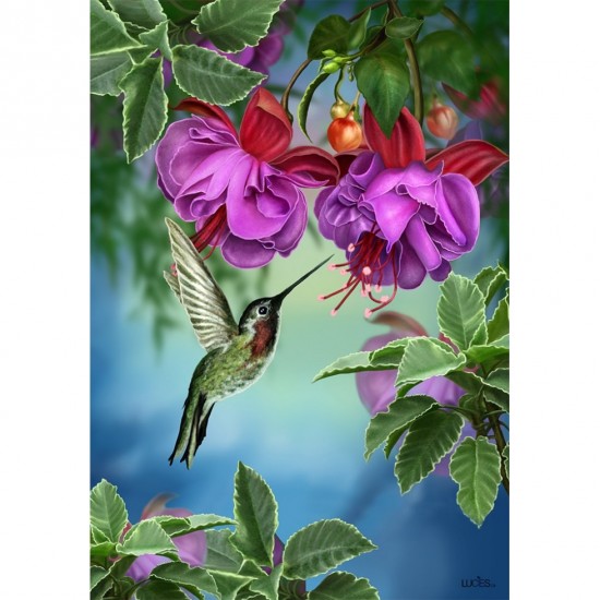 Hummingbird in The Garden 
