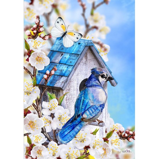 Birdhouse &  Blue Jay 