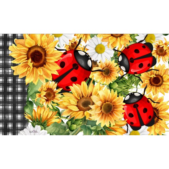 Designer Floor Mats 30" x 18"  Ladybugs